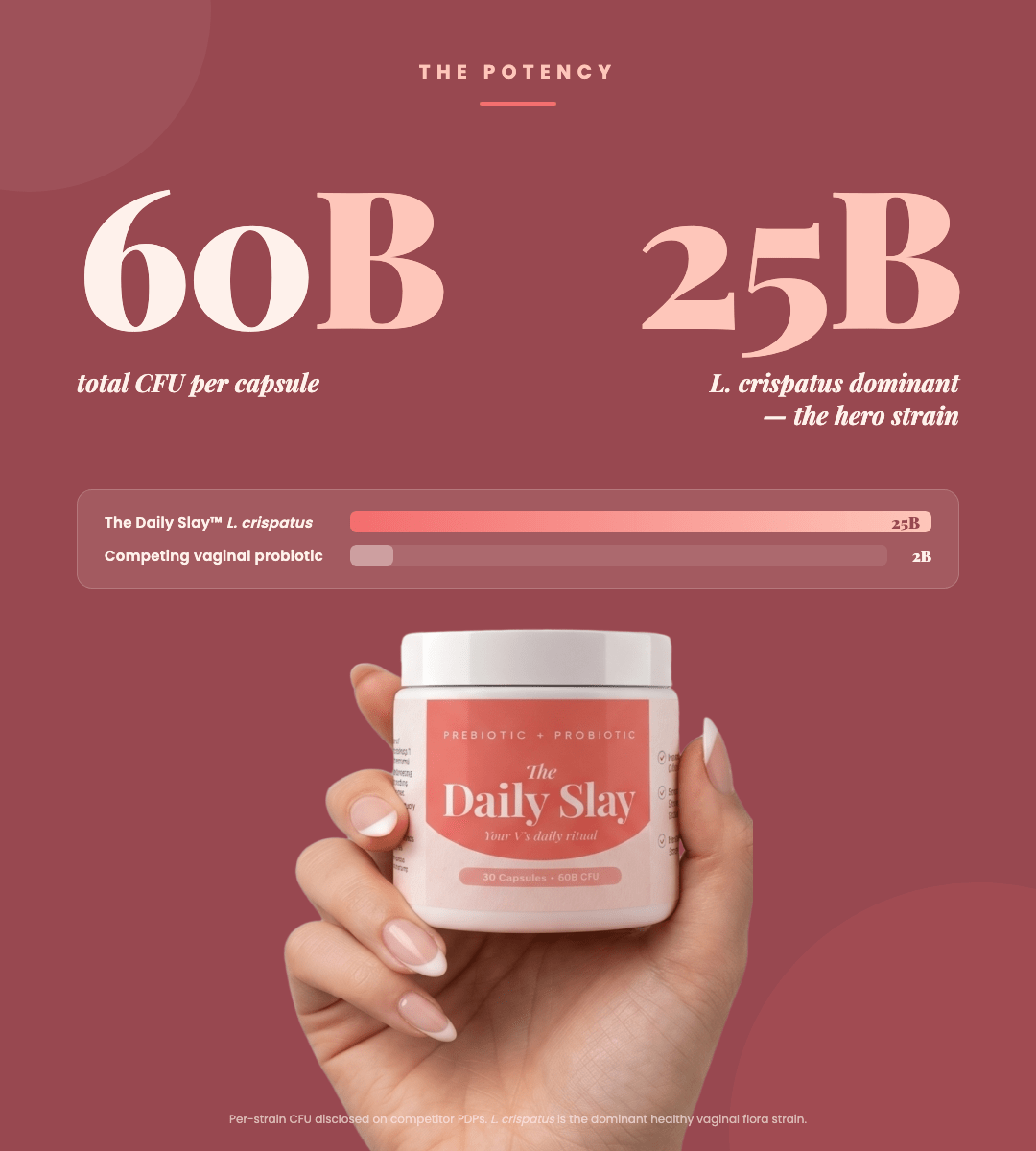 The Daily Slay Probiotic