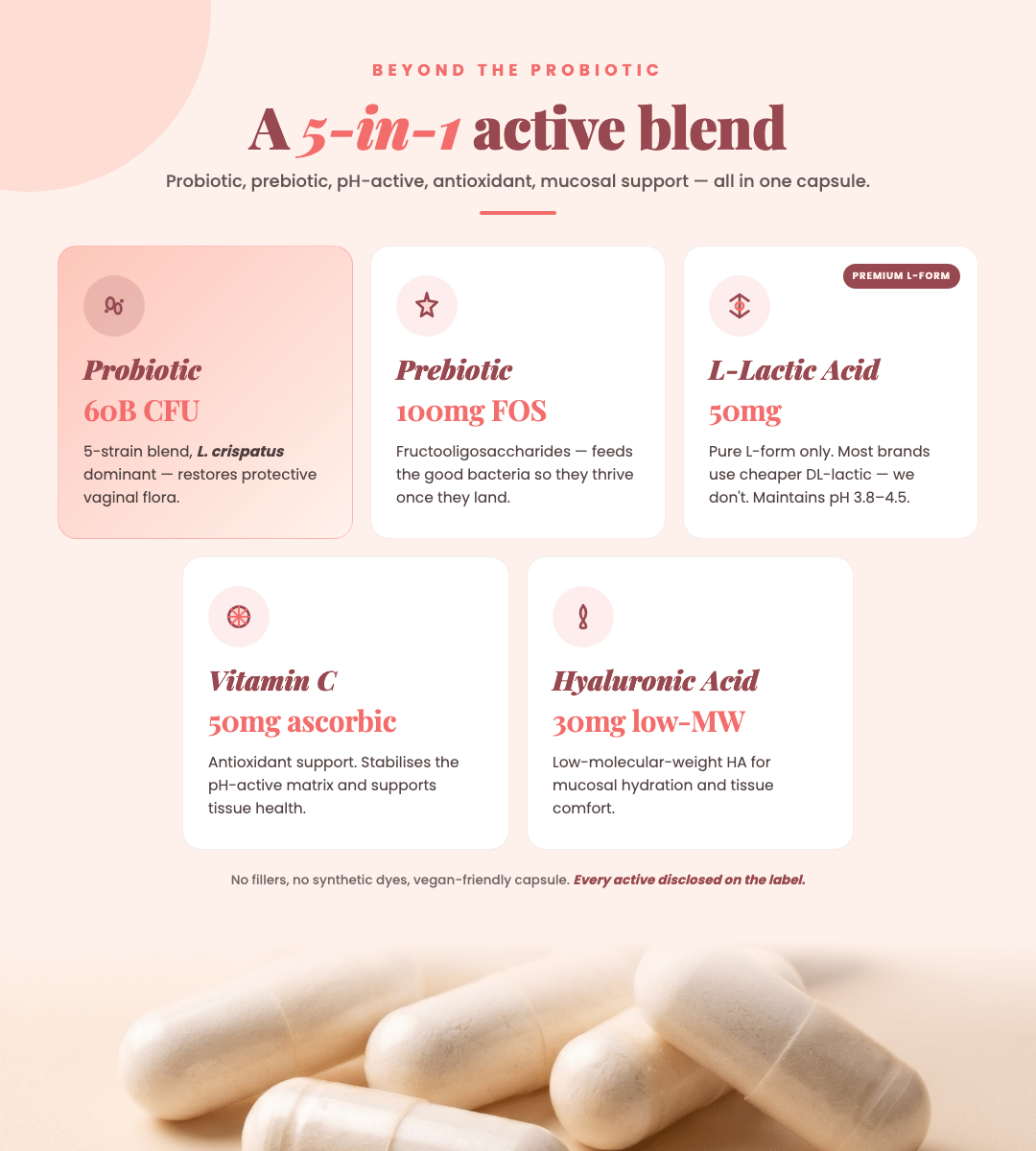 The Daily Slay Probiotic