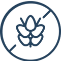 5-Strain Synbiotic